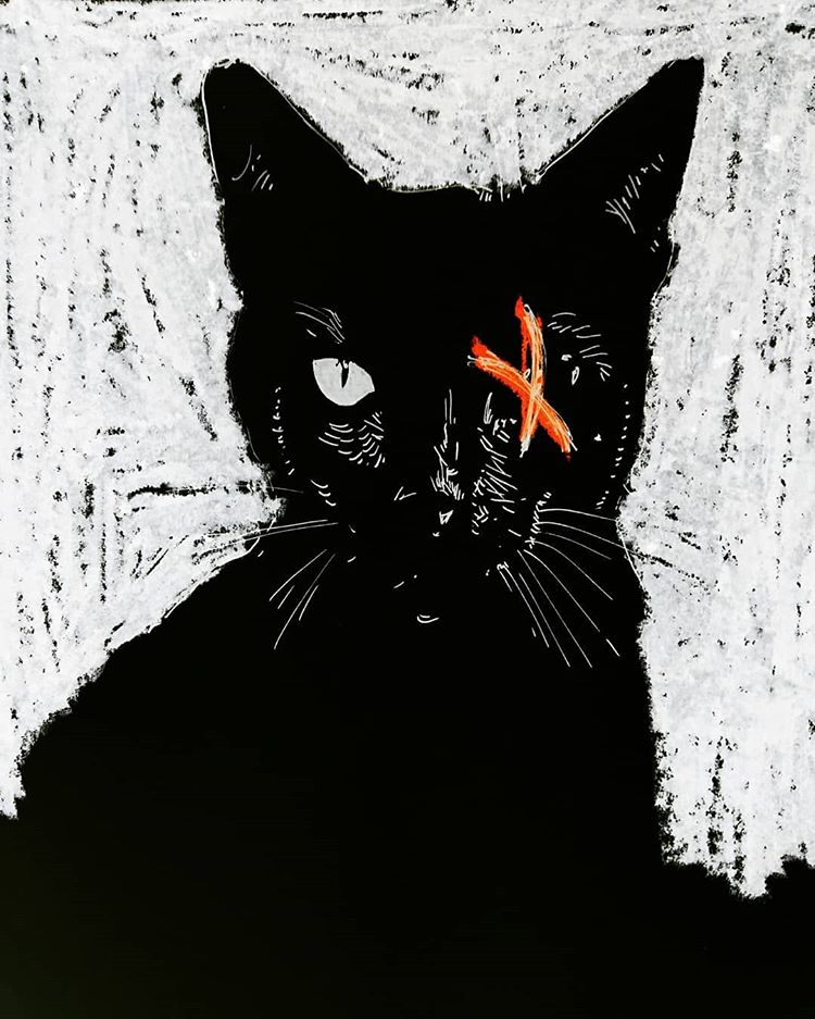 Con mèo đen review