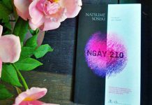 Review Ngày 210 Nhật Bản Ngày Bão Tố