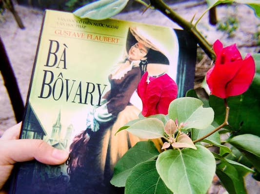 Madame Bovary – Giá của một giấc mơ