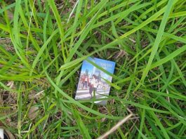 cậu bé và quái vật mamoru hosoda