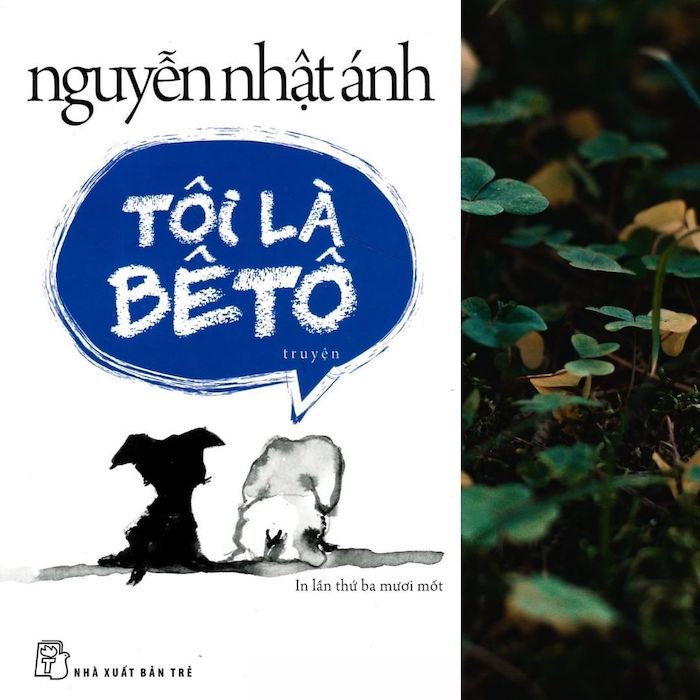Tôi đọc tiếng Việt, tôi là Beto