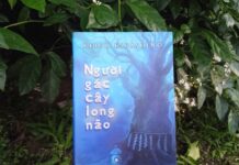 người gác cây long não keigo tiên sinh