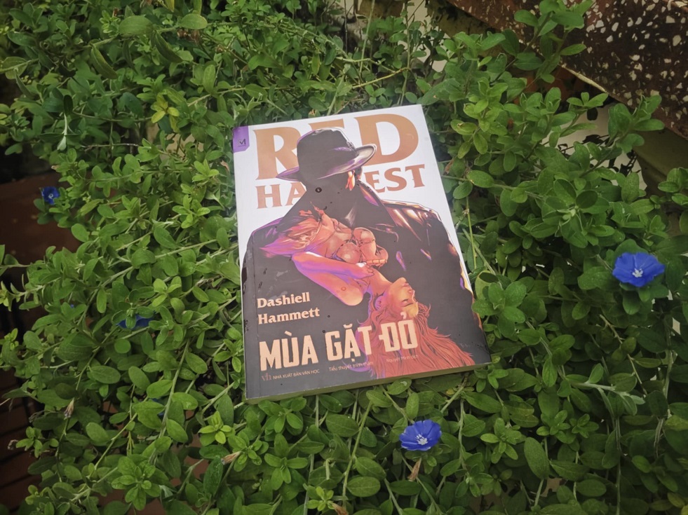 mùa gặt đỏ review