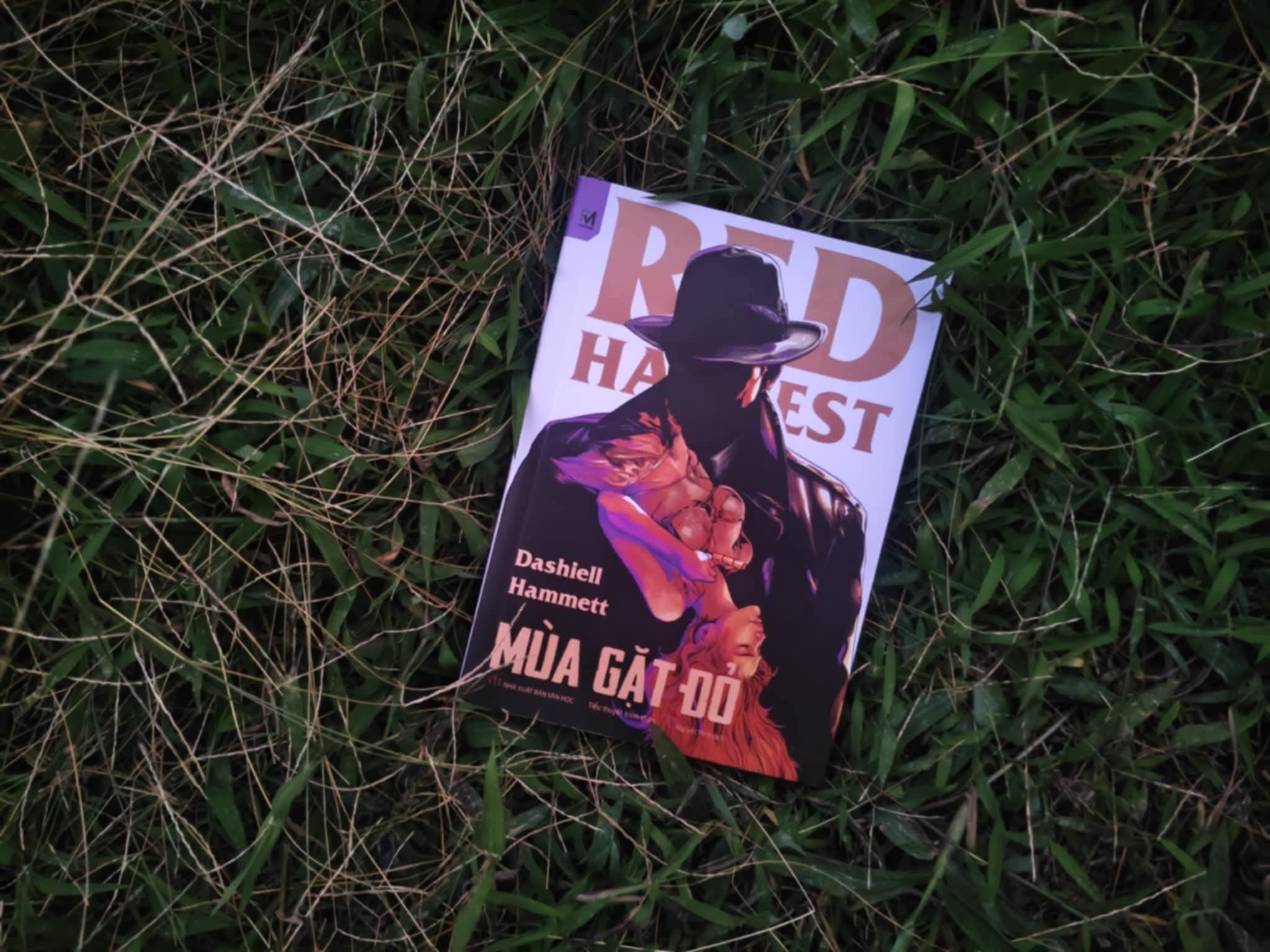 mùa gặt đỏ