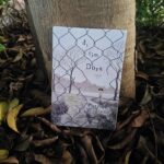 Đi tìm Dora  và hành trình “đi tìm thời gian đã mất” của Patrick Modiano đi tìm dora patrick modiano