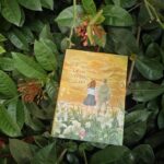 nếu gặp lại em trên ngọn đồi hoa nở novel natsue shiomi