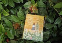 nếu gặp lại em trên ngọn đồi hoa nở novel natsue shiomi