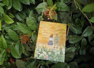 nếu gặp lại em trên ngọn đồi hoa nở novel natsue shiomi