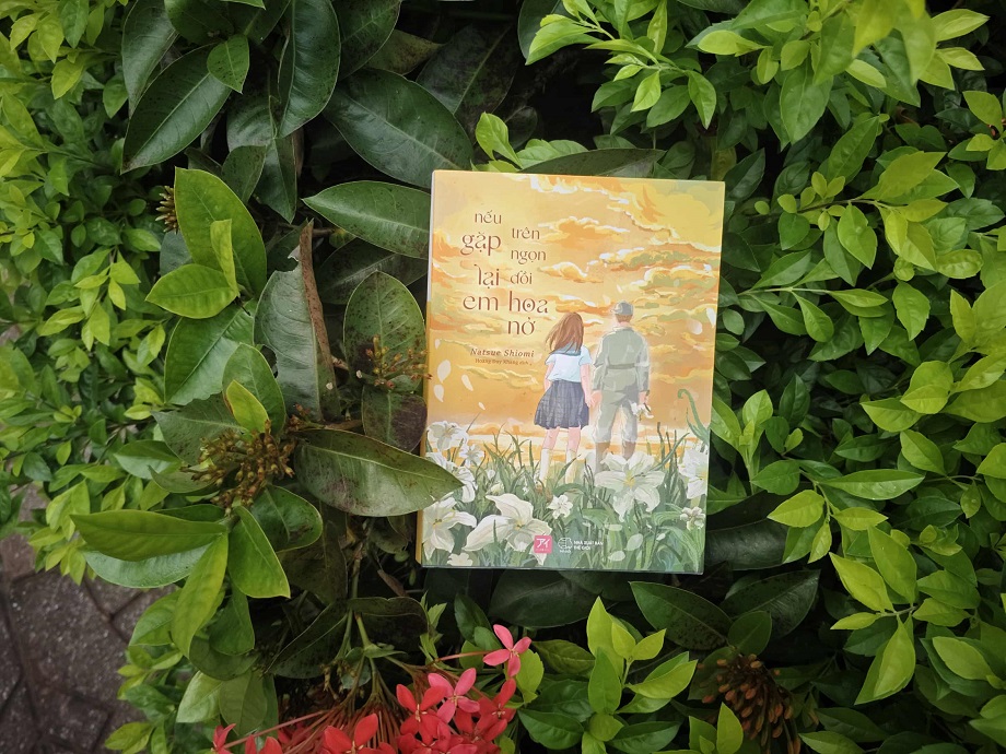 nếu gặp lại em trên ngọn đồi hoa nở novel review