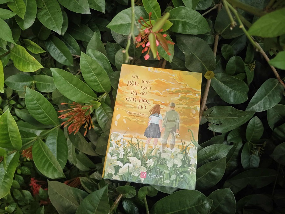 nếu gặp lại em trên ngọn đồi hoa nở novel reviewsach