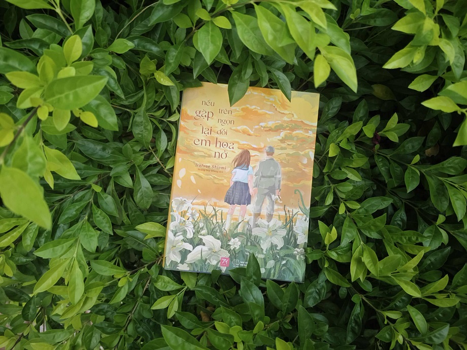 nếu gặp lại em trên ngọn đồi hoa nở novel