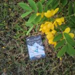 truy đuổi khói tuyết reviewsachnet