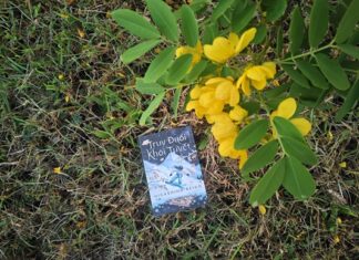 Truy đuổi khói tuyết (Higashino Keigo) – Truy tìm “nữ thần cứu rỗi” truy đuổi khói tuyết reviewsachnet