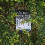 vũ điệu cuồng phong higashino keigo review