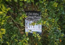 Vũ điệu cuồng phong (Higashino Keigo) – Giữa cơn cuồng phong trắng xóa của đại ngàn vũ điệu cuồng phong higashino keigo review