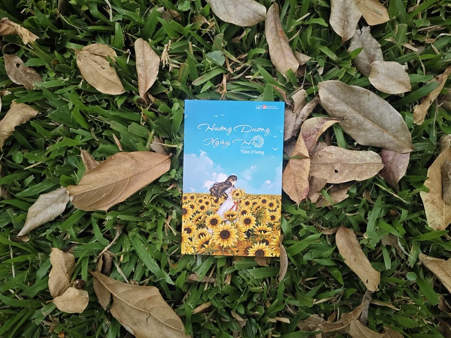 hướng dương ngày hè review