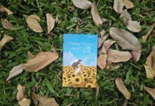 Hướng dương ngày hè – Như hướng dương hướng về ánh mặt trời