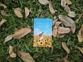 Hướng dương ngày hè – Như hướng dương hướng về ánh mặt trời