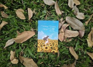 Hướng dương ngày hè – Như hướng dương hướng về ánh mặt trời