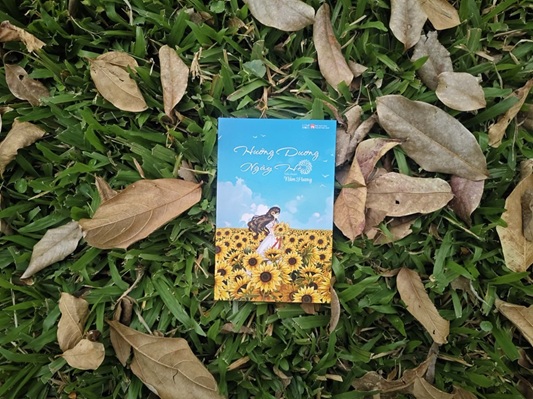 Hướng dương ngày hè – Như hướng dương hướng về ánh mặt trời