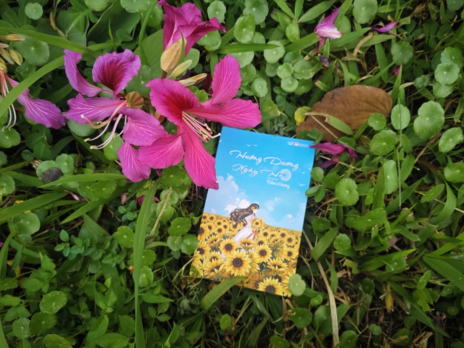 hướng dương ngày hè reviewsachnet