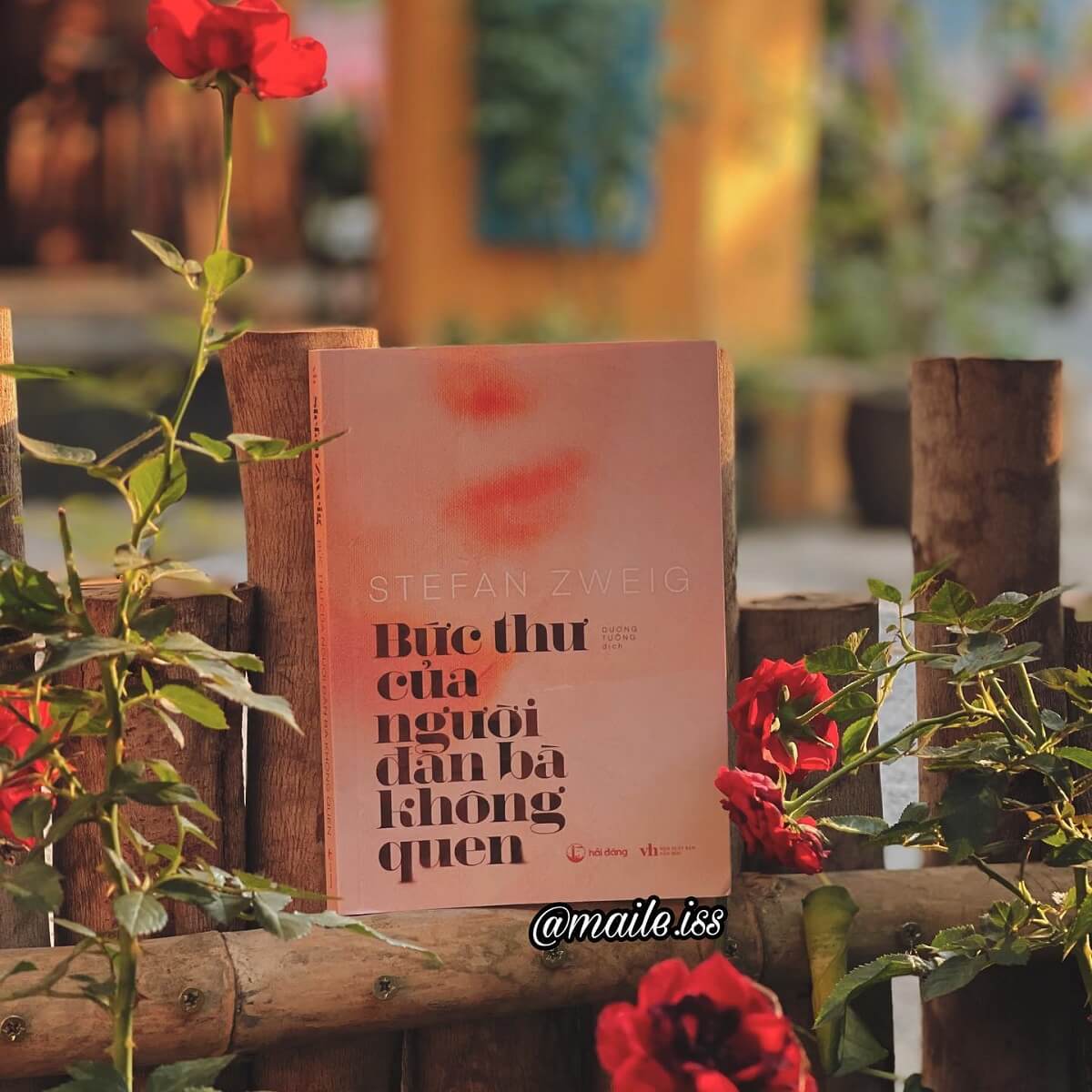 maile.iss Buc thu tu nguoi dan ba khong quen Reviewsach.net