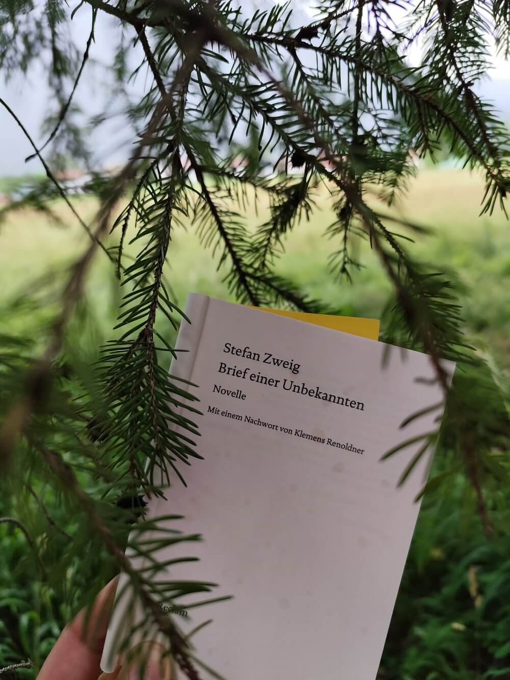 the.heartfelt.bookshelf Buc thu tu nguoi dan ba khong quen Reviewsach.net